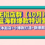无招店群·蓝海群爆款特训营(10月新课) 低成本起店+小爆款打造+群爆款维护