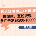 28天小红书博主IP特训营《第9期》做爆款，涨粉变现 单条广告笔记500-10000