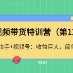 短视频带货特训营（第12期）抖音+快手+视频号：收益巨大，简单粗暴！