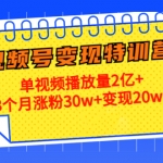 20天视频号变现特训营：单视频播放量2亿+3个月涨粉30w+变现20w+