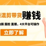 短视频带货赚钱混剪特训营：无需囤货发货 拍摄 露脸 直播，4大平台可操作