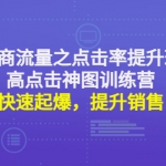 电商流量之点击率提升班+高点击神图训练营：快速起爆，提升销售！