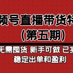 视频号直播带货特训营（第五期）无需囤货 新手可做 已实现稳定出单和盈利