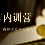 写作内训营：百万级大佬教你如何写一本好书，再把这本书卖爆！