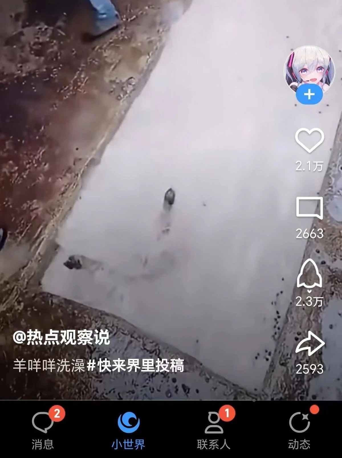 QQ小世界短视频项目：无脑搬运，万播放20-50元，单号单日300 ，很多人还不知道怎么...3683 作者:福缘资源库 帖子ID:103397 