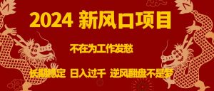 2024新风口项目，不在为工作发愁，长期稳定，日入过千逆风翻盘不是梦